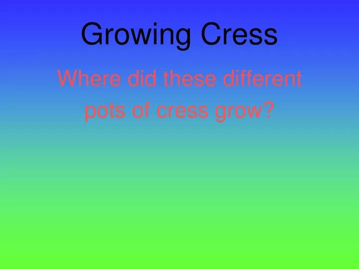 growing cress