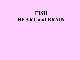 FISH HEART and BRAIN