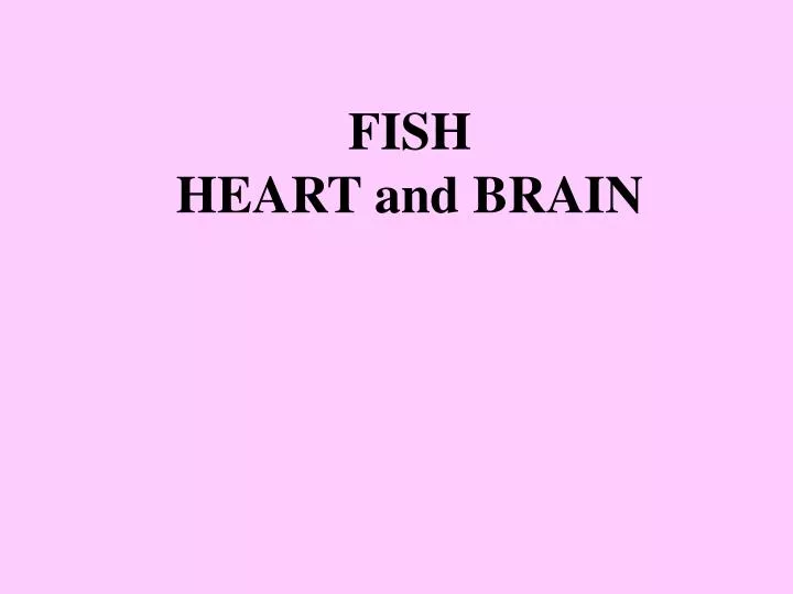 fish heart and brain