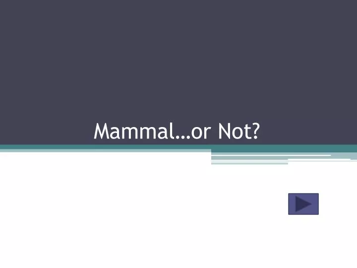 mammal or not