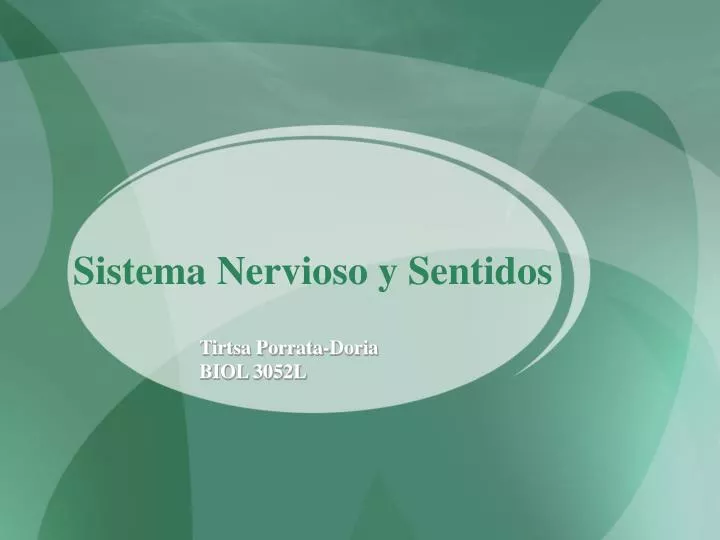 sistema nervioso y sentidos