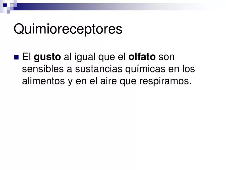 quimioreceptores