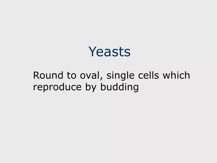 yeasts