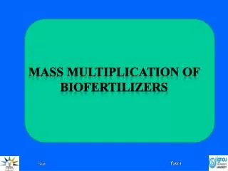 Mass multiplication of biofertilizers