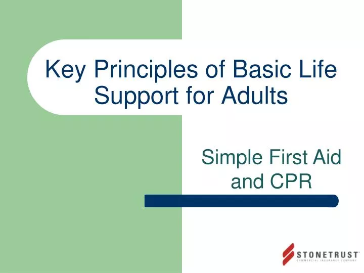key principles of basic life support for adults