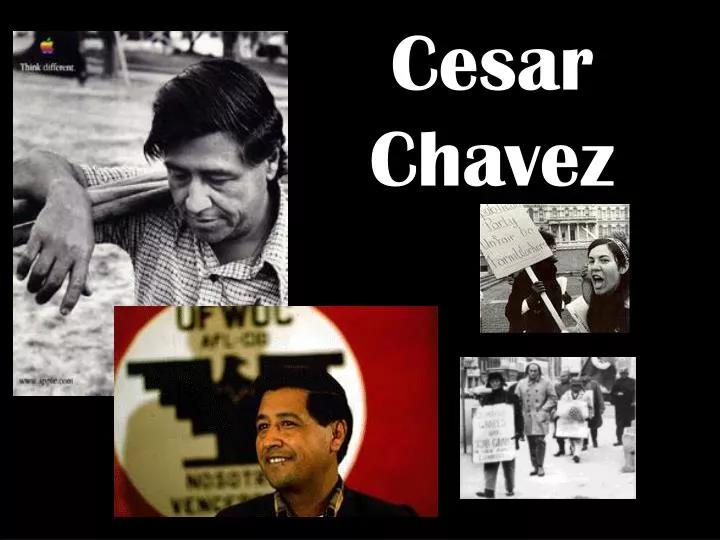 cesar chavez