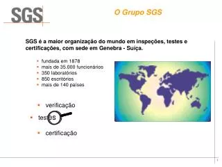 o grupo sgs