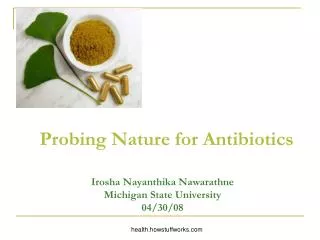 Probing Nature for Antibiotics