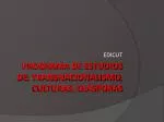 Programa de estudios dE : transnacionalismo , Culturas, Diásporas - slide 1