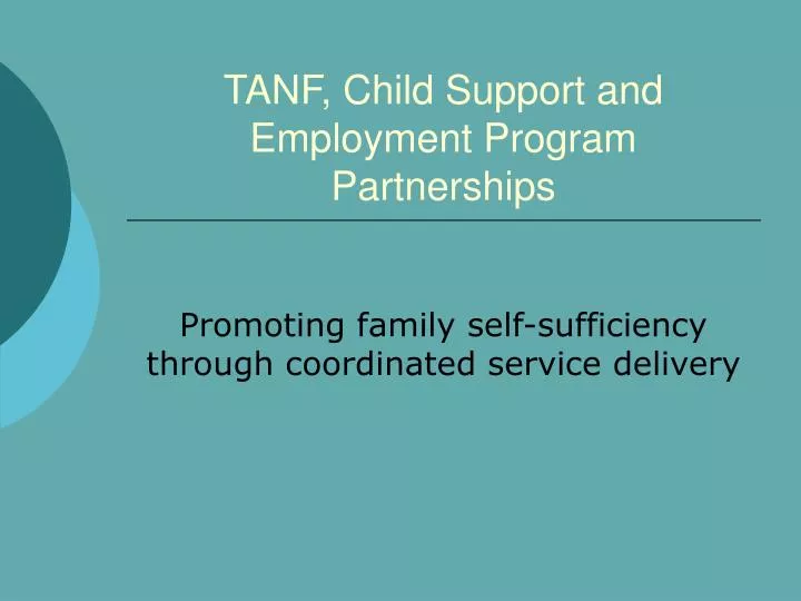 tanf child support and employment program partnerships