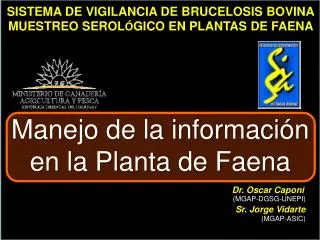 SISTEMA DE VIGILANCIA DE BRUCELOSIS BOVINA MUESTREO SEROL Ó GICO EN PLANTAS DE FAENA