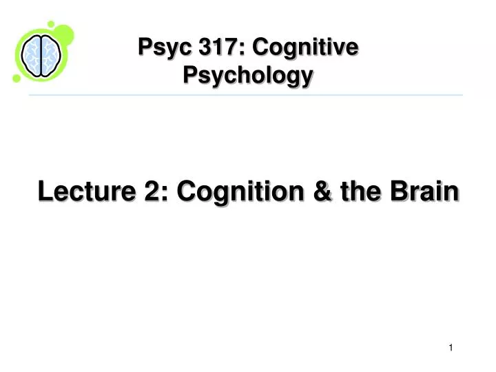 lecture 2 cognition the brain