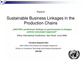 Panel 6 Sustainable Business Linkages in the Production Chains
