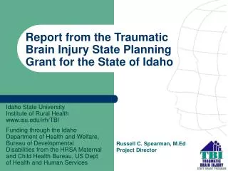 Report from the Traumatic Brain Injury State Planning Grant for the State of Idaho
