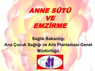 s t nasil sa ilir