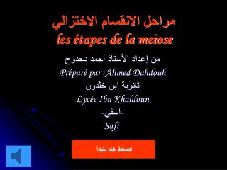 les tapes de la meiose