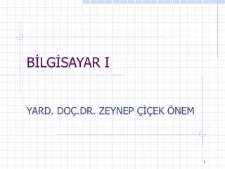 b lg sayar i
