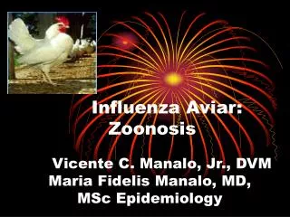 influenza aviar zoonosis