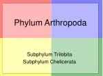 Phylum Arthropoda - slide 1
