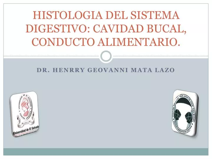 histologia del sistema digestivo cavidad bucal conducto alimentario