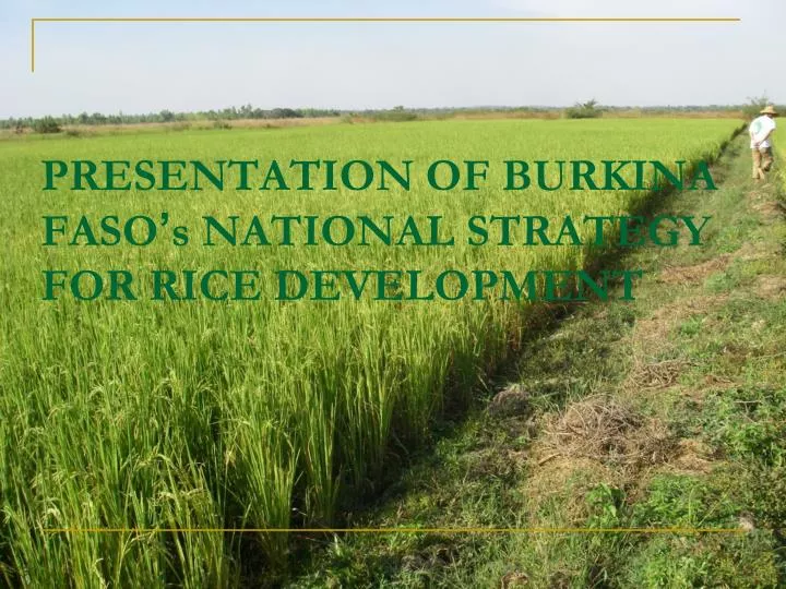 presentation of burkina faso s national strategy for rice development