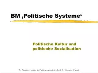 bm politische systeme