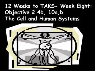 12 Weeks to TAKS- Week Eight: Objective 2 4b, 10a,b The Cell and Human Systems