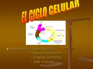 Integrantes : - Pablo Medina - Mauricio Gutierrez - Cristina Con