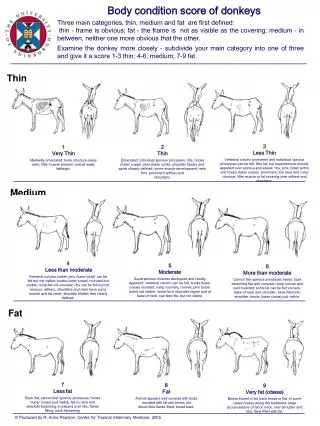 Body condition score of donkeys