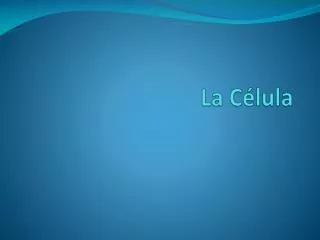 la c lula