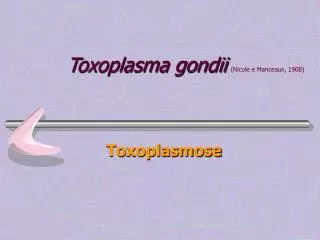 toxoplasma gondii nicole e manceaux 1908