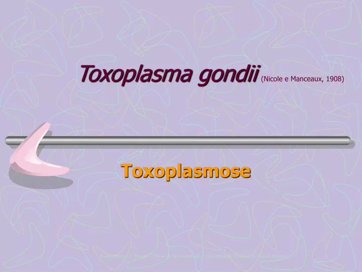 toxoplasma gondii nicole e manceaux 1908