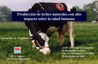 AAPA 27º Congreso Argentino de Producción Animal Fac. Cs. Veterinarias. UNCPBA 20 de octubre de 2004