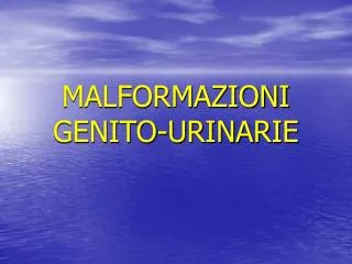 MALFORMAZIONI GENITO-URINARIE