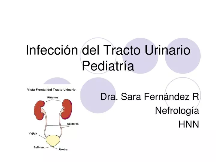 infecci n del tracto urinario pediatr a