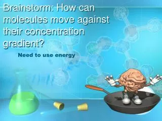 Brainstorm: How can molecules move against their concentration gradient?