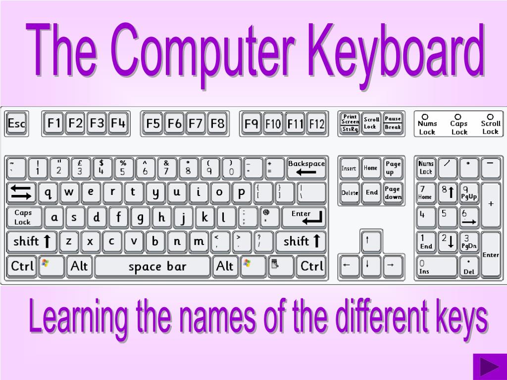 PPT - The Computer Keyboard PowerPoint Presentation, free download - ID ...