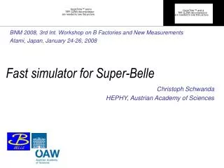 Fast simulator for Super-Belle