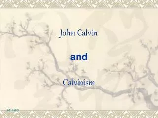John Calvin and Calvinism