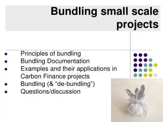 Bundling small scale projects