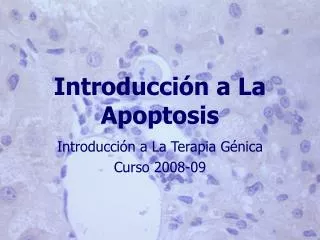 introducci n a la apoptosis