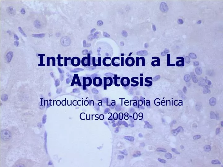 introducci n a la apoptosis