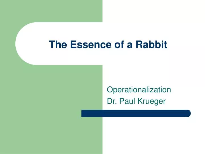 the essence of a rabbit