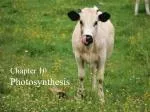 Chapter 10 Photosynthesis - slide 1