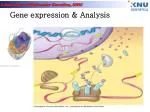 Gene expression &amp; Analysis - slide 1