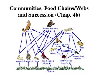 Communities, Food Chains/Webs and Succession (Chap. 46)