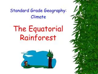 The Equatorial Rainforest