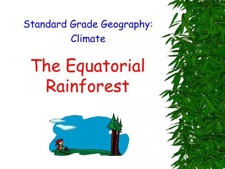 the equatorial rainforest