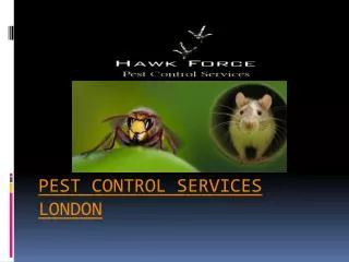 Pest Control Services London