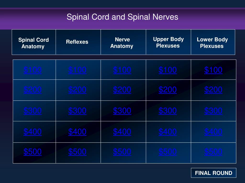 PPT - Spinal Cord and Spinal Nerves PowerPoint Presentation, free ...